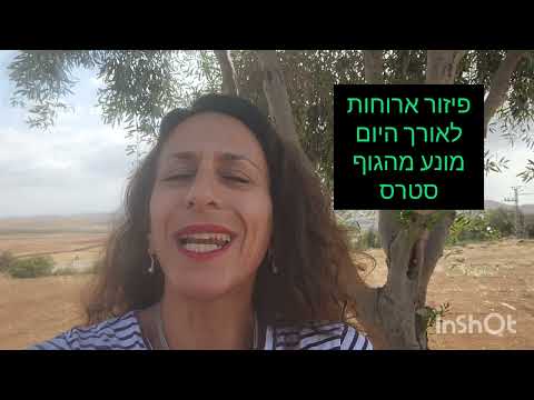 איך להמנע מתחושת רעב לאורך היום ועדיין להוריד את מדדי הסוכר? - אידן ברגר